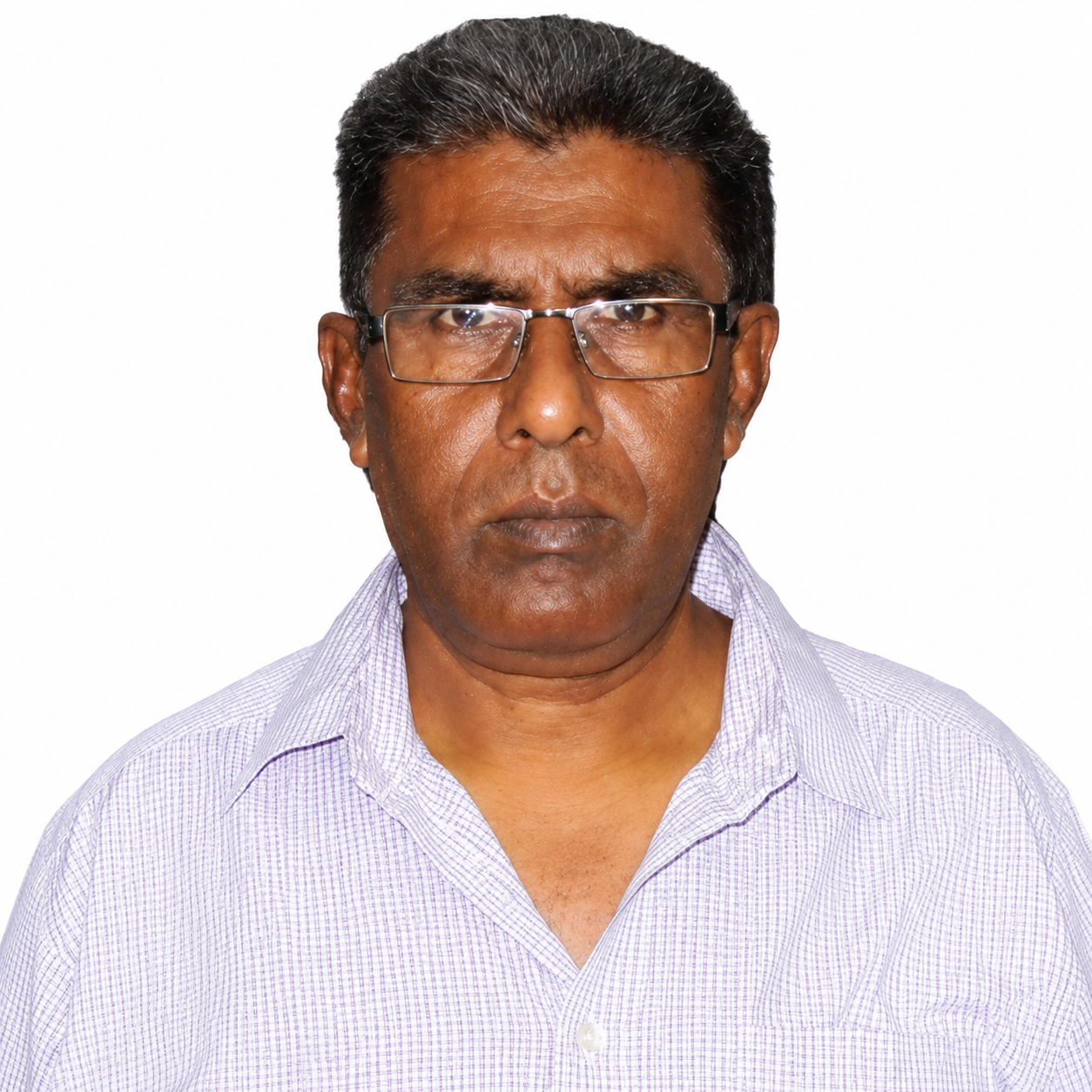 এ.এন. এম. মাহাবুবুল হক